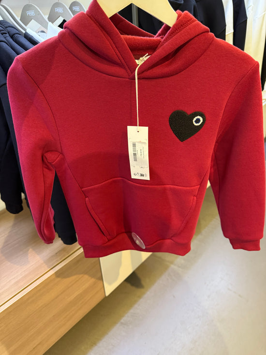Hoodie ADJ PARIS